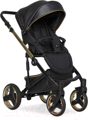 Детская универсальная коляска Riko Ozon Premium 3 в 1 (34/Gold Black)