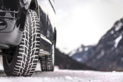 Зимняя легкогрузовая шина Nokian Tyres WR C3 225/65R16C 112/110T