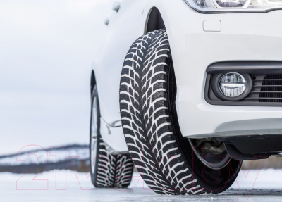 Зимняя шина Nokian Tyres Hakkapeliitta R3 225/50R18 99R