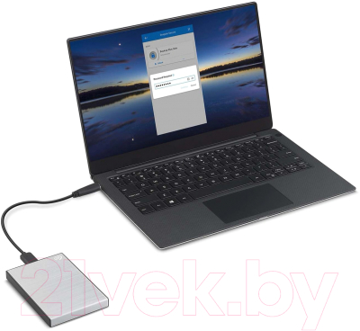 Внешний жесткий диск Seagate External One Touch 1TB Silver (STKB1000401)