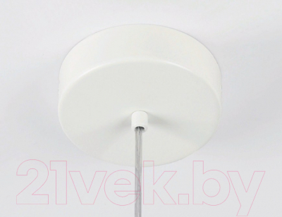 Потолочный светильник Ambrella TR5042 WH/CL (белый/прозрачный)