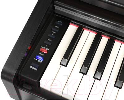 Цифровое фортепиано Medeli DP280