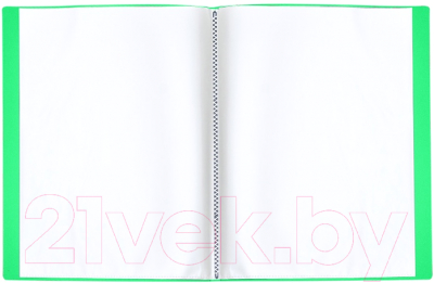 Папка для бумаг Darvish DV-05-60Р (зеленый)