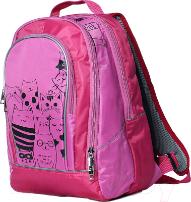 Школьный рюкзак Galanteya 65319 / 0с895к45 (малиновый/розовый)
