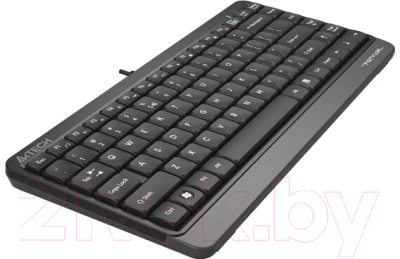 Клавиатура A4Tech Fstyler FK11 USB (черный/серый)