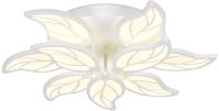 Потолочный светильник Ambrella FA460/6+3 WH (белый) - 