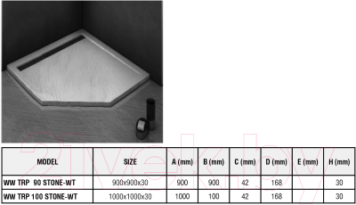 Изображение товара Душевой поддон WeltWasser TRP 100 Stone-WT (с сифоном)