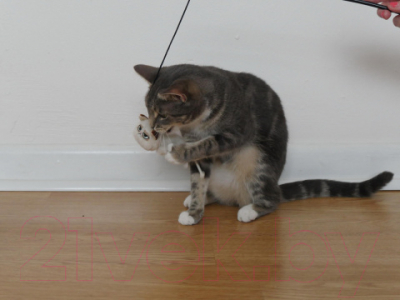 Игрушка для кошек Rosewood Сердитый котик Грумпи / 14044/51096/RW (бежевый)