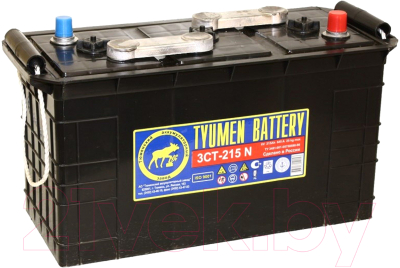 Автомобильный аккумулятор Tyumen Battery Standard / 3СТ-215пп (215 А/ч)