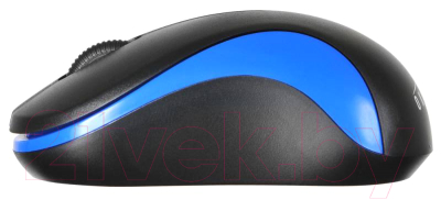 Мышь Oklick 605SW (черный/синий)