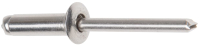 Заклепка Starfix SMZ1-49111-25 - 