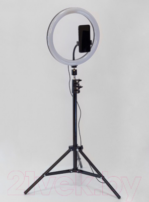 Кольцевая лампа ArtStyle TL-602B