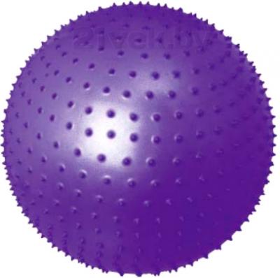 Фитбол массажный Motion Partner MP570 (фиолетовый) - общий вид