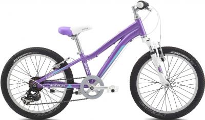 Детский велосипед Fuji Dynamite 20 Girls (10, Purple, 2014) - общий вид