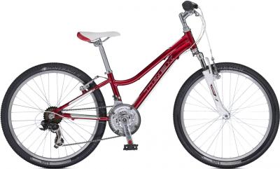 Велосипед Trek MT 220 Girl's (24, красный, 2014) - общий вид