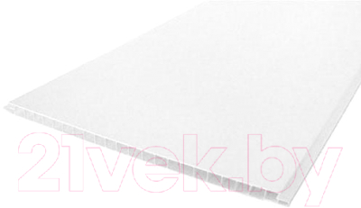 Панель ПВХ Vox Эколайн 250/Q (250x2700, белый)
