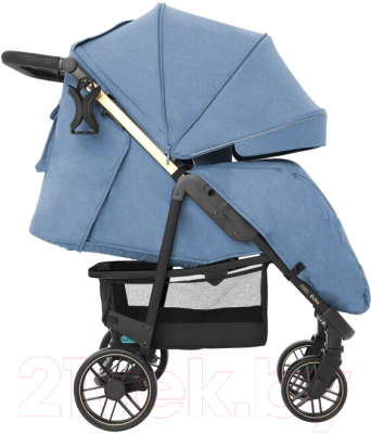Детская прогулочная коляска Carrello Echo / CRL-8508/2 (Azure Blue)