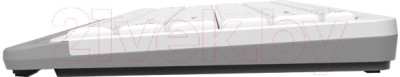 Клавиатура A4Tech Fstyler FK11 USB (белый)