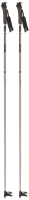 Палки для беговых лыж Nordway DXP000SB13 / A19ENDXP001-SB (р-р 130, серебряный/черный) - 