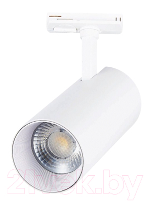 

Трековый светильник ST Luce, Mono ST350.546.30.24