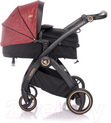 Детская универсальная коляска Lorelli Adria Black Red / 10021452006