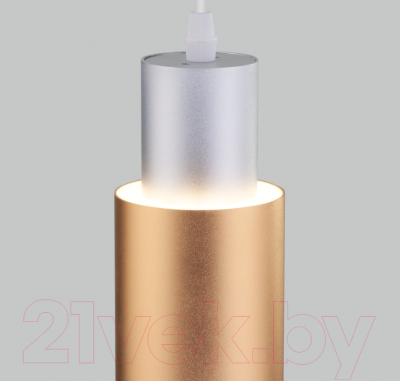 Изображение товара Потолочный светильник Евросвет 50204/1 LED (матовое серебро/матовое золото)