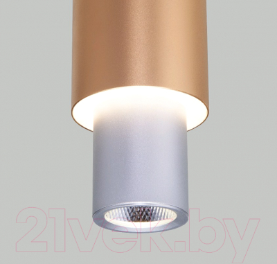 Изображение товара Потолочный светильник Евросвет 50204/1 LED (матовое серебро/матовое золото)