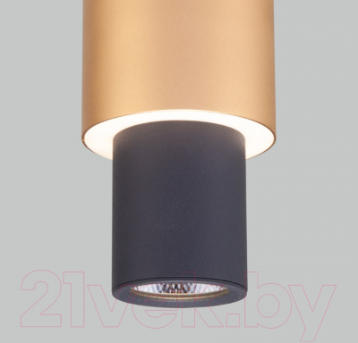 Потолочный светильник Евросвет 50204/1 LED (черный/матовое золото)
