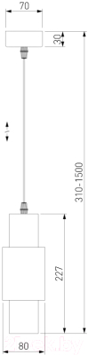 Потолочный светильник Евросвет 50204/1 LED (черный/матовое золото)