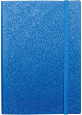 

Ежедневник InFolio, Prime / AZ683
