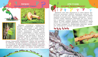 Изображение товара Энциклопедия АСТ Большая книга почему (Бобков П.В. Косенкин А.А.)