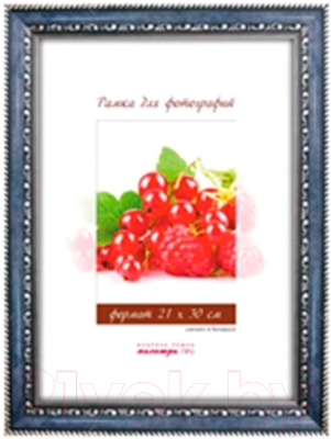 

Рамка ПАЛИТРА, 2915/45 40x60