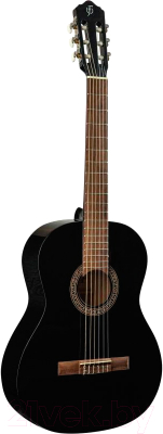 

Акустическая гитара Flight, C-120 BK 4/4