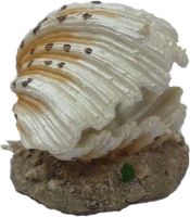 

Декорация для аквариума, Морская раковина / AO-003S