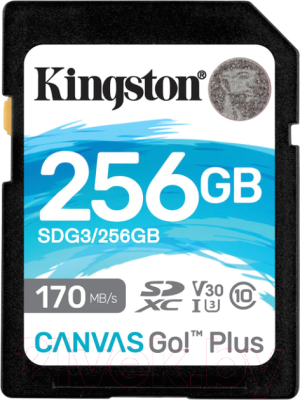 Карта памяти Kingston Canvas Go Plus SDXC (Class10) 256GB (SDG3/256GB)