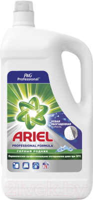 Гель для стирки Ariel Professional Mount Spring (4.94л)