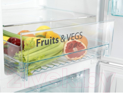 Холодильник с морозильником Snaige RF53SM-S5RP2F