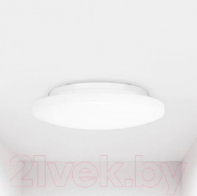 Потолочный светильник Yeelight Galaxy Ceiling Light 260мм / YLXD61YI