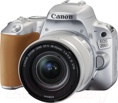 Зеркальный фотоаппарат Canon EOS 200D Kit 18-55mm IS STM / 2256C006AA (серебристый)
