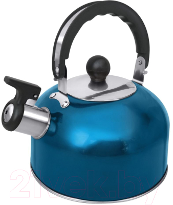 Чайник со свистком Home Element HE-WK1602 (голубой аквамарин)