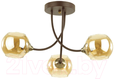 

Люстра Lumion, Ashton 4550/3C