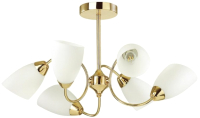 

Люстра Lumion, Darlene 4532/6C