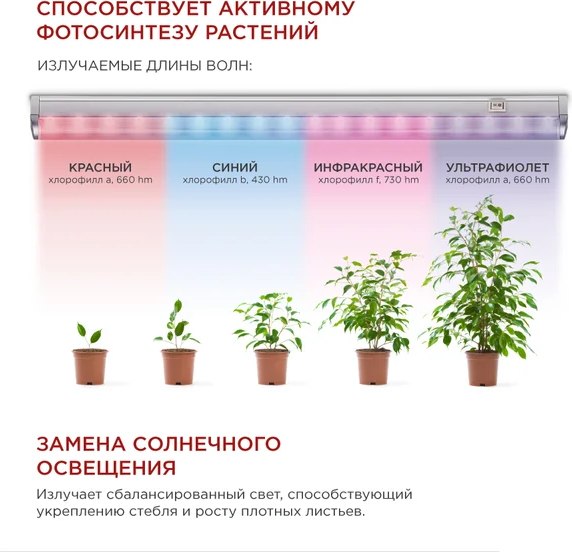 Светильник для растений INhome СПБ-Т5-Фито / 4690612033112