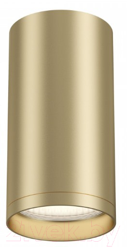 Потолочный светильник Maytoni Focus S C052CL-01MG