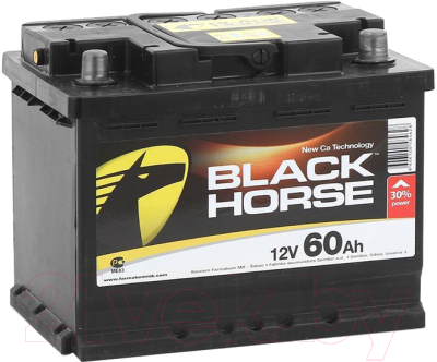 Автомобильный аккумулятор Black Horse 60 R низкий / BH600N (60 А/ч)