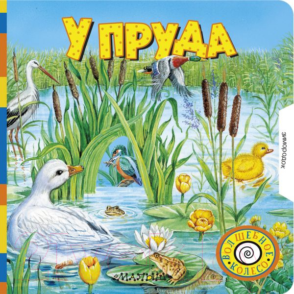 Развивающая книга АСТ У пруда
