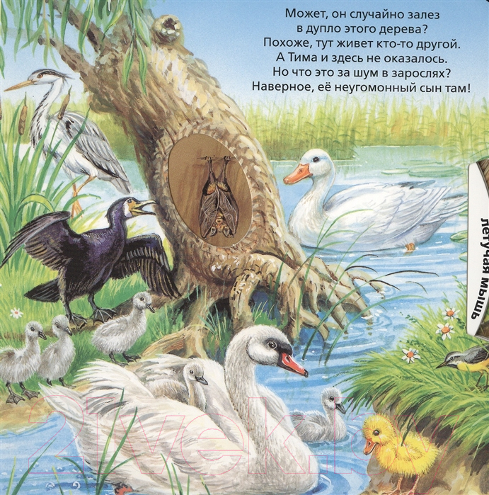 Развивающая книга АСТ У пруда — фото 4