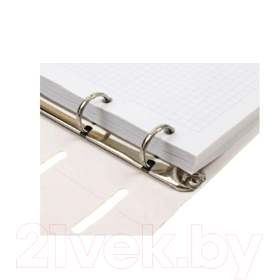 Изображение товара Тетрадь Канц-Эксмо Экзотические фрукты / ПБ804765 (80л, разноцветный)