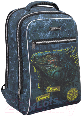 

Школьный рюкзак Erich Krause, ErgoLine Urban 18L Iguana / 48673