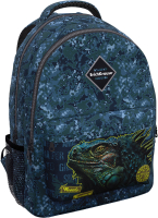 

Школьный рюкзак Erich Krause, EasyLine 20L Iguana / 48608